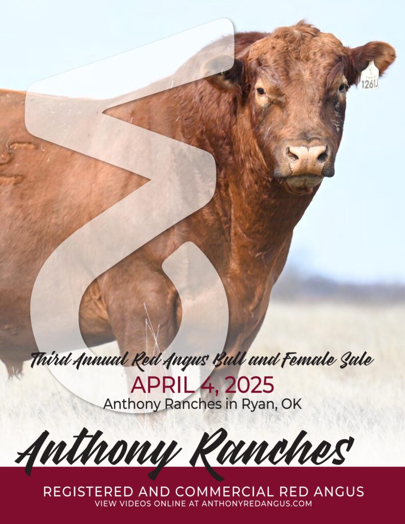 Anthony Ranches 3rd Annual Red Angus Bull & Female Sale
