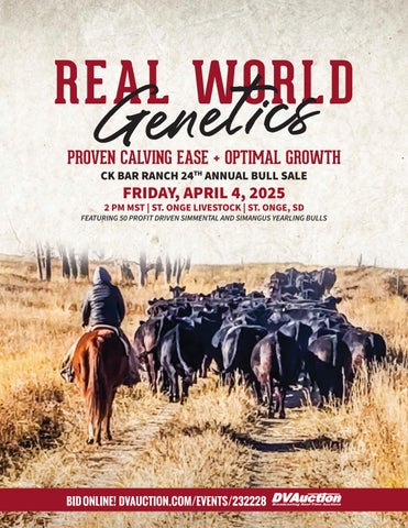 CK Bar Ranch 24th Annual Bull Sale