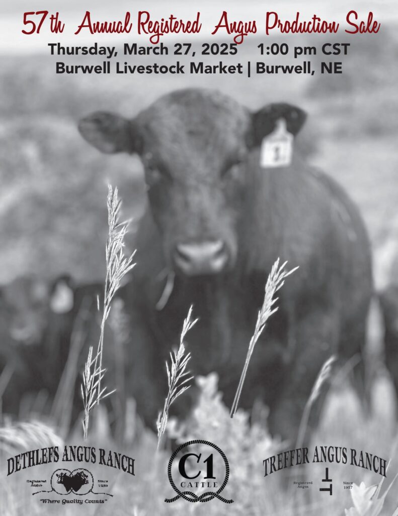 Dethlefs/Treffer Angus Ranch 57th Annual Registered Angus Production Sale