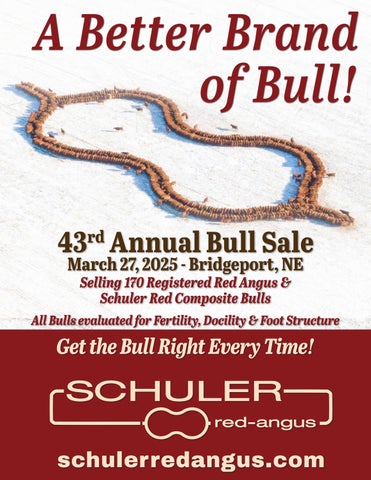 Schuler Red Angus 43rd Annual Bull Sale