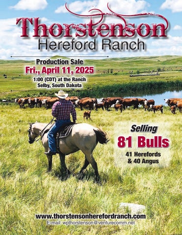 Thorstenson Hereford Ranch Production Sale