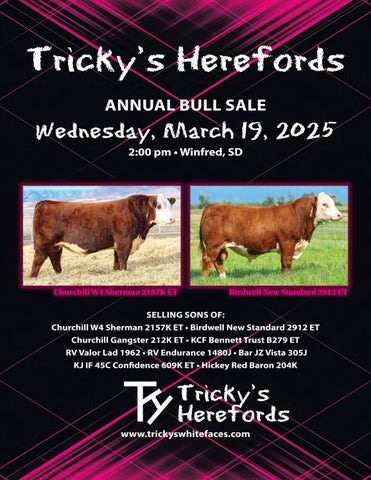Tricky's Herefords Annual Bull Sale