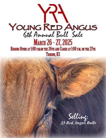 Young Red Angus 6th Annual Bull Sale