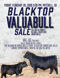 Blacktop VALUABULL Sale