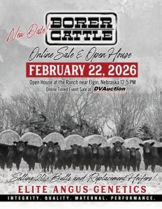 Borer Cattle Online Sale & Open House