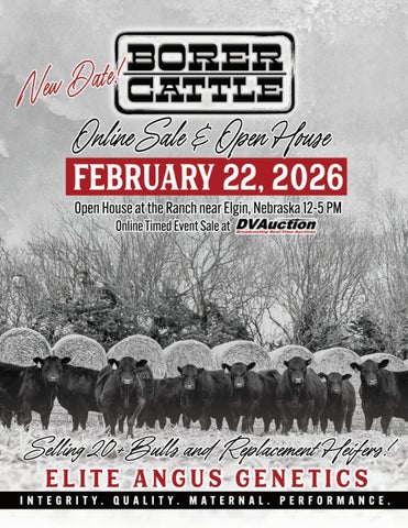 Borer Cattle Online Sale & Open House