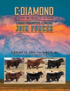 C Diamond Simmentals Bull Sale Catalog