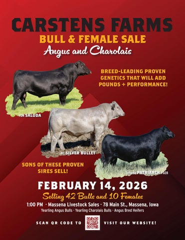 Carstens Farms Bull & Female Sale