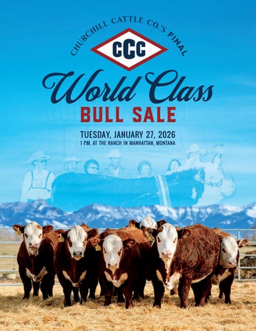 Churchill Cattle Co.'s Final World Class Bull Sale