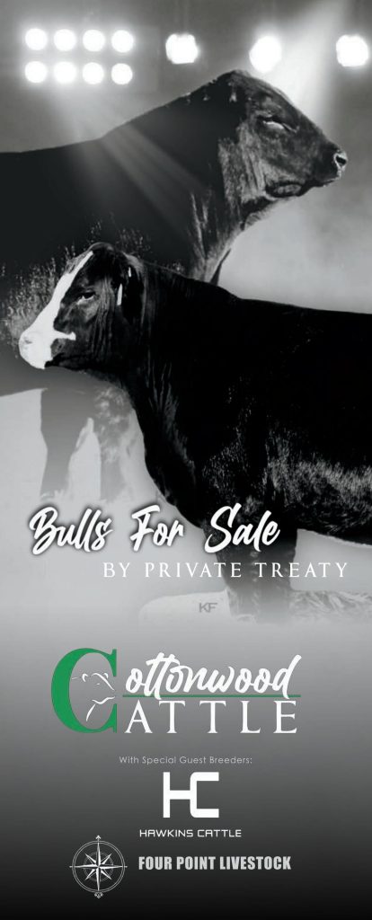 Cottonwood Cattle Private Treaty Sale