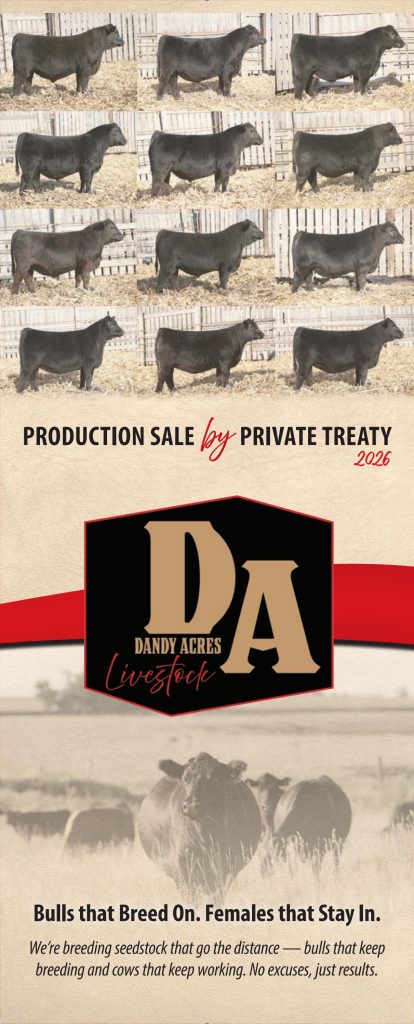 Dandy Acres Production Sale by Private Treaty 2026