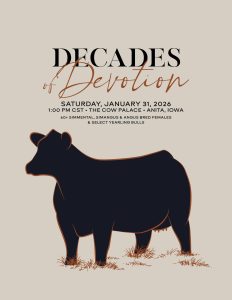 Decades of Devotion Sale