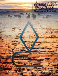 Diamond Lazy J Ranch Bull Sale