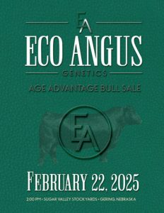 Eco Angus Genetics Age Advantage Bull Sale