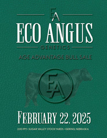 Eco Angus Genetics Age Advantage Bull Sale
