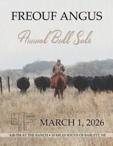 Freouf Angus Annual Bull Sale