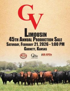 GV Limousin 45th Annual Production Sale