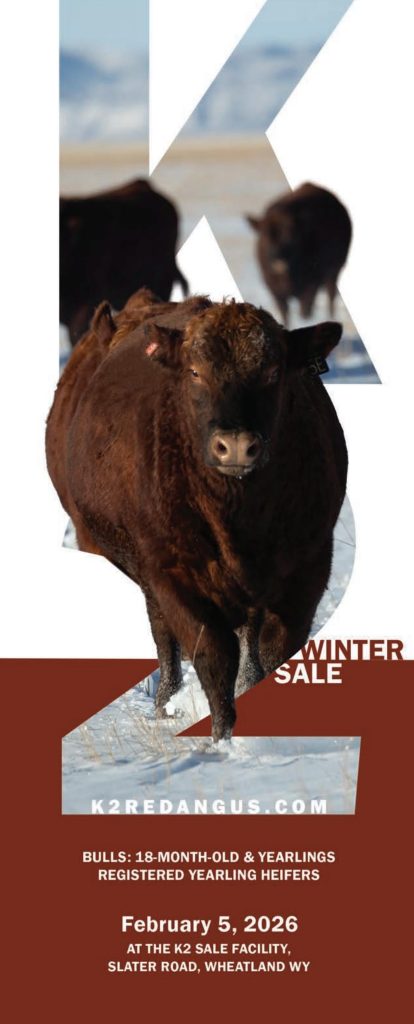 K2 Red Angus Winter Sale