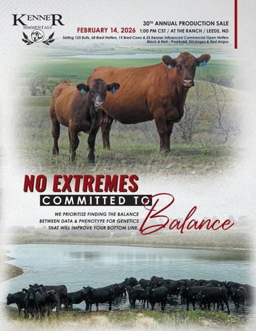 Kenner Simmental Ranch 30th Annual Production Sale