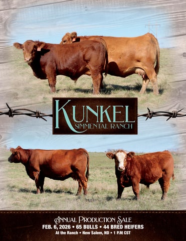 Kunkel Simmental Ranch Annual Production Sale