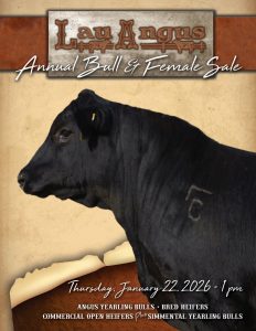 Lau Angus Annual Bull & Female Sale