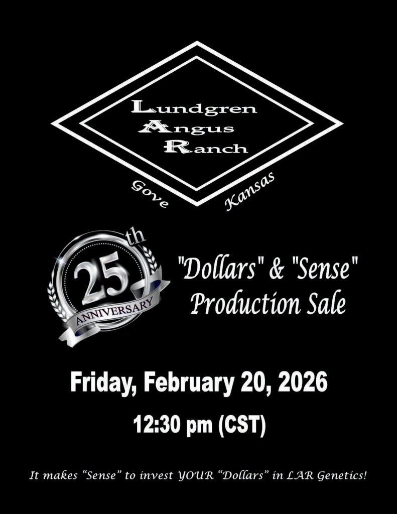 Lundgren Angus Ranch 25th Anniversary "Dollars" & "Sense" Production Sale