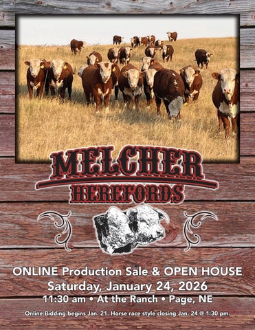 Melcher Herefords - Online Production Sale and Open House