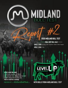 Midland Bull Test Report #2