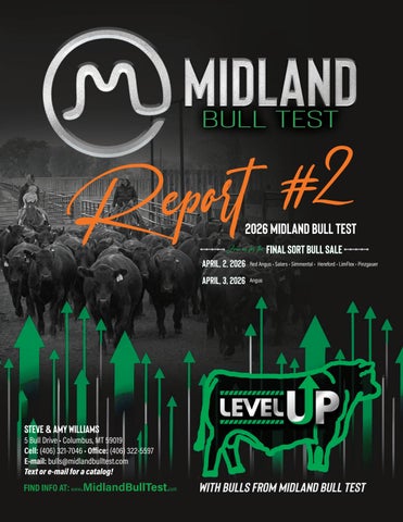 Midland Bull Test Report #2