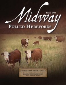 Midway Polled Herefords 2026 Private Treaty Sale