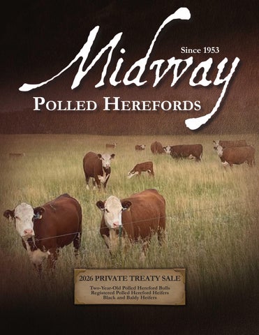 Midway Polled Herefords 2026 Private Treaty Sale