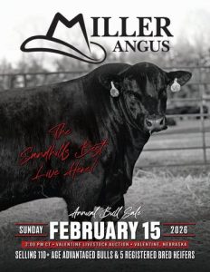 Miller Angus Annual Bull Sale