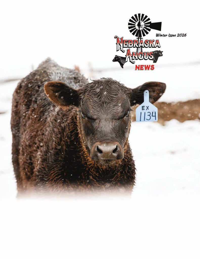 Nebraska Angus News - Winter Issue 2026