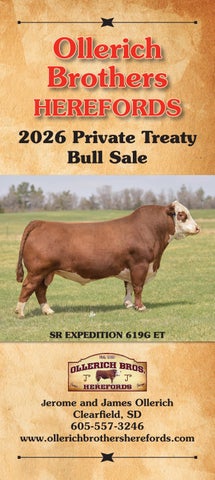 Ollerich Brothers 2026 Private Treaty Bull Sale