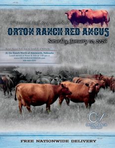 Orton Ranch Red Angus – 8th Annual Bull & Female Sale