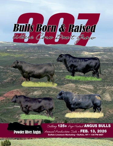Powder River Angus Annual Production Sale