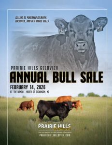 Prairie Hills Gelbvieh Annual Bull Sale