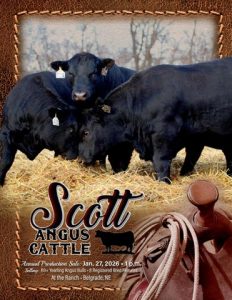 Scott Angus Cattle Annual Production Sale