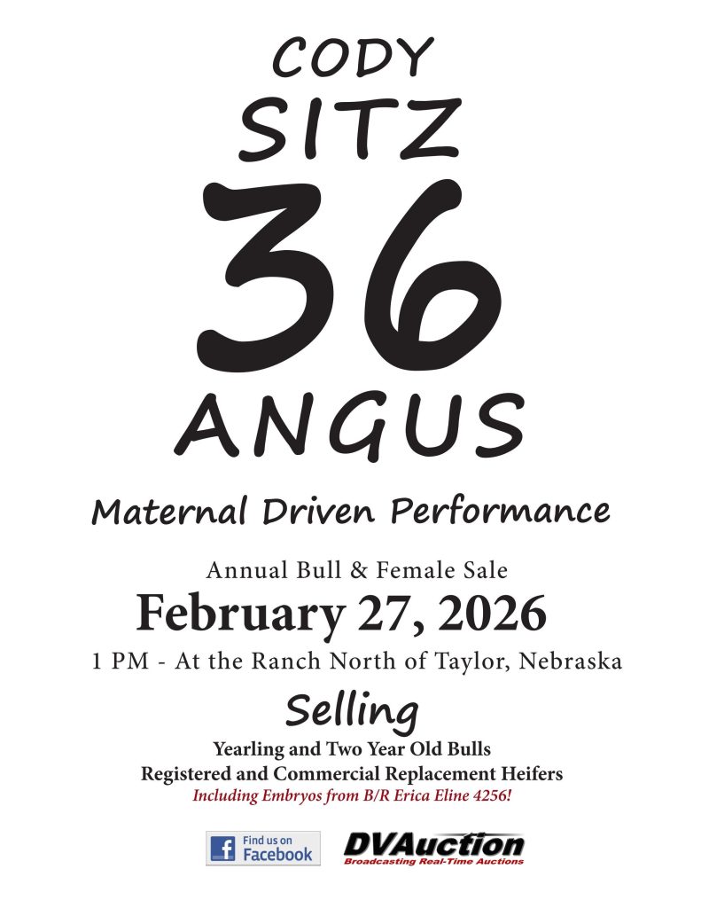 Sitz 36 Angus Annual Bull & Female Sale