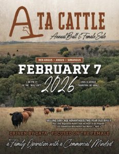 TA Cattle Annual Bull & Female Sale
