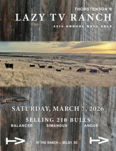 Thorstenson’s Lazy TV Ranch 45th Annual Bull Sale