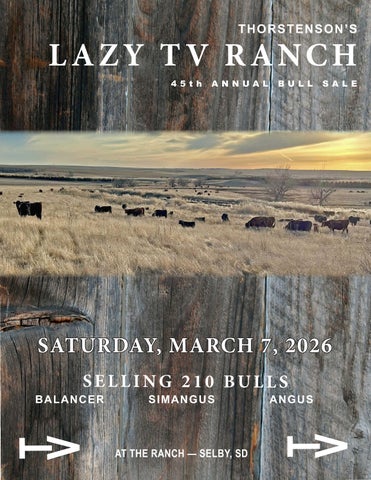 Thorstenson's Lazy TV Ranch 45th Annual Bull Sale