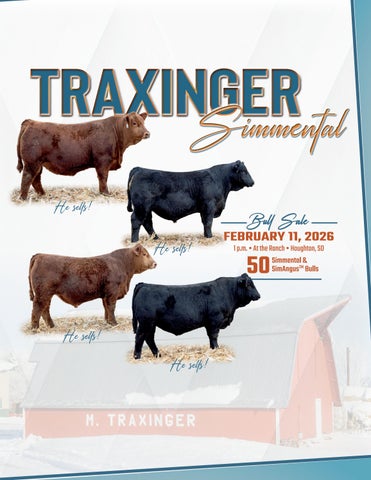 Traxinger Simmental Annual Bull Sale
