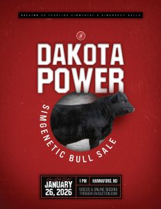 Triple H Simmentals Dakota Power SimGenetic Bull Sale
