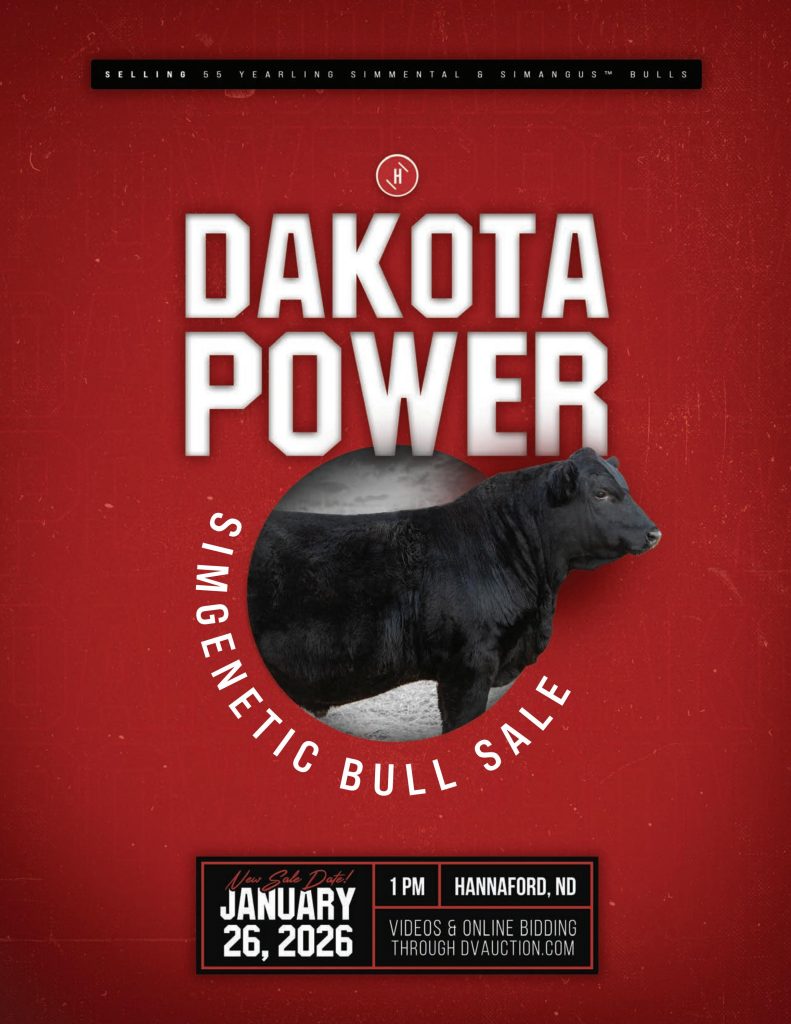 Triple H Simmentals Dakota Power SimGenetic Bull Sale