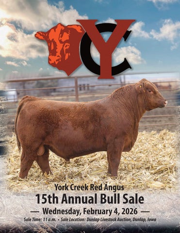York Creek Red Angus 15th Annual Bull Sale