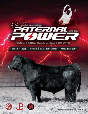10th Anniversary Paternal Power Bull Sale