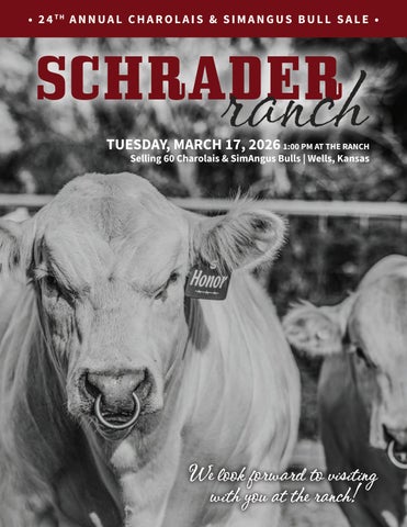 24th Annual Schrader Ranch Bull Sale