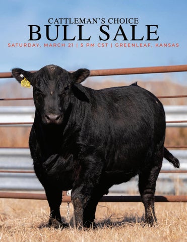 29th Annual Cattlemen's Choice Bull Sale