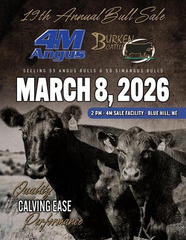 4M Angus & Burken Cattle19th Annual Bull Sale